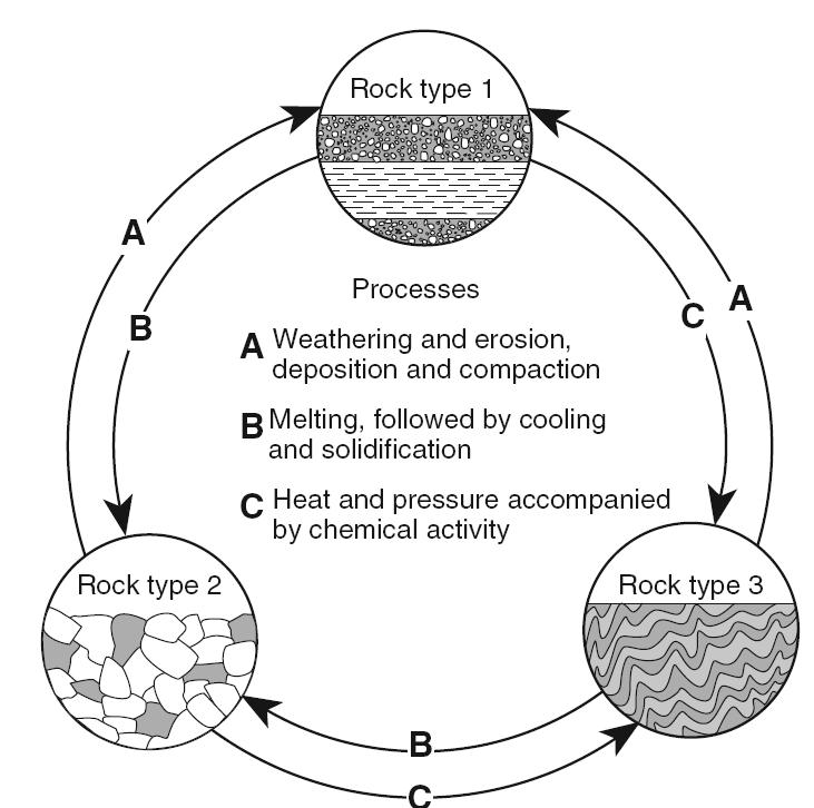 13. The diagram below represents geological processes that act continuously on Earth to form different rock types. 15.