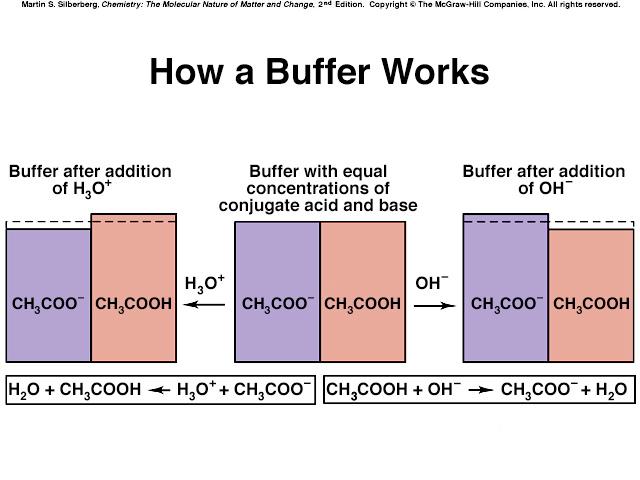 9 How Does a Buffer Work Original buffered solution ph (H + or OH - added) Modified ph Step 1: Do stoichiometric