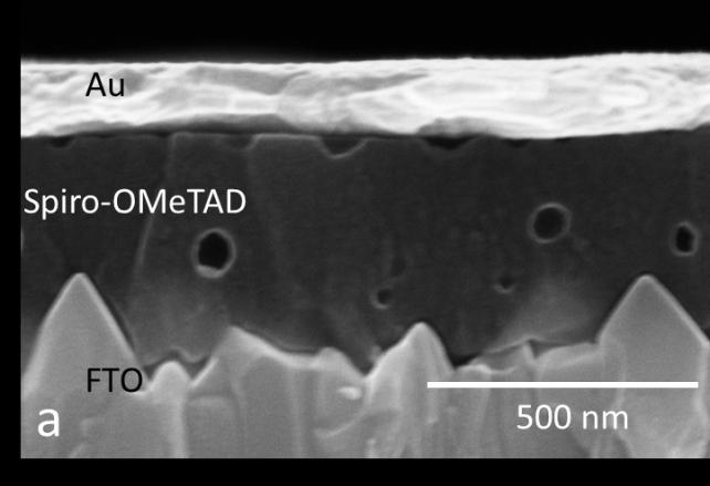micrographs of FTO/spiro-OMeTAD/Au devices