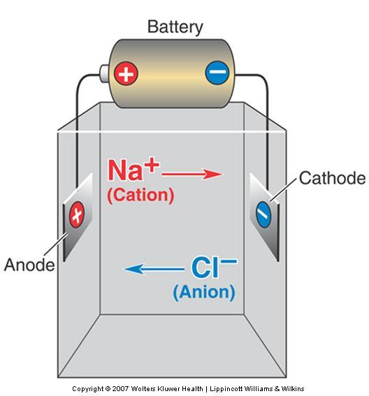The Movements of Ions Electricity Electrical current influences ion movement