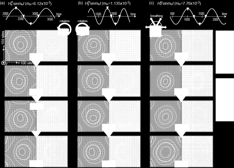 Temporal waveforms of the applied ac magnetic fields are shown in the uppermost panels where inverted triangles indicate times at which we observe the snapshots shown here.