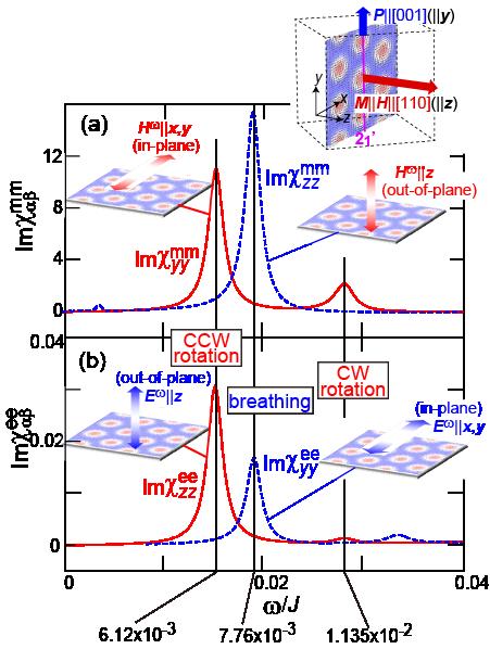 Dynamical magnetoelectric phenomena of multiferroic skyrmions 18 Figure 19. (color online).