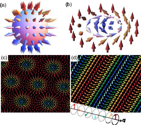 Dynamical magnetoelectric phenomena of multiferroic skyrmions 2 Figure 1. (color online). (a) Schematic of the original hedgehog-type skyrmion.