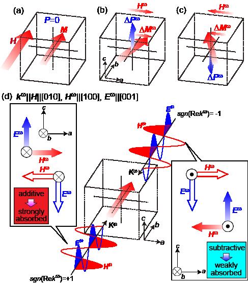 Dynamical magnetoelectric phenomena of multiferroic skyrmions 25 Figure 26. (color online).