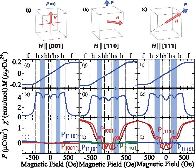 Dynamical magnetoelectric phenomena of multiferroic skyrmions 8 Figure 9. (color online).