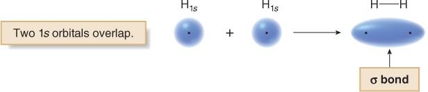 Structure and Bonding Molecular Orbitals : Hydrogen When the 1s orbital of one H atom overlaps with the 1s orbital of another H atom, a sigma (σ) bond that concentrates electron density between