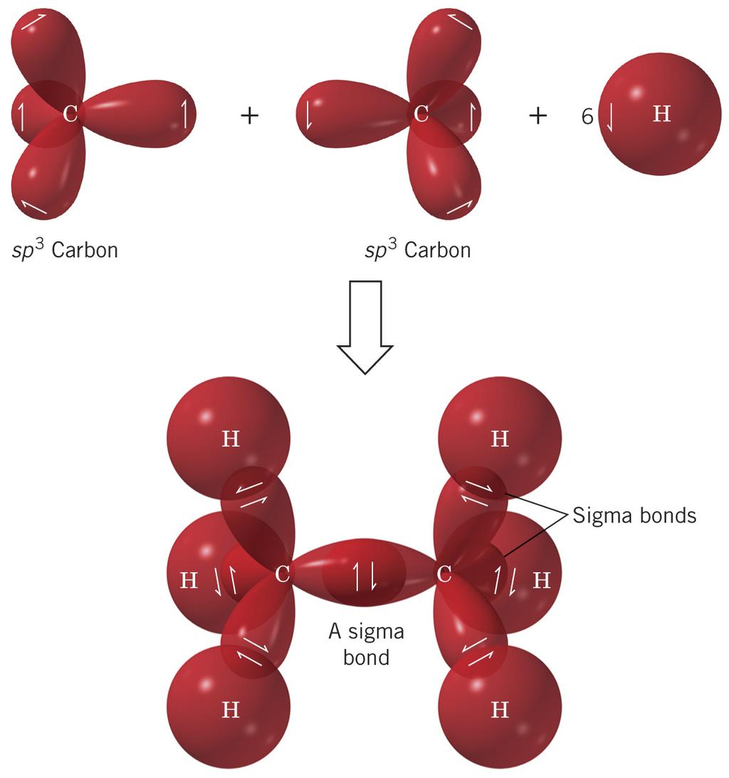 l Ethane (C 2 H 6 ) The carbon-carbon bond is made from overlap of two sp 3 orbitals to