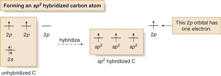 Structure and Bonding Hybridization and Bonding in Organic Molecules There are three σ bonds around each