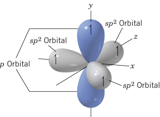 orbitals come from mixing one s and two p orbitals One p orbital is left unhybridized The sp 2 orbitals