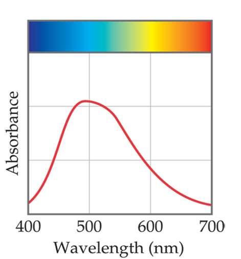 Complexes and color absorption spectrum [Ti(H 2 O) 6 ] 3+