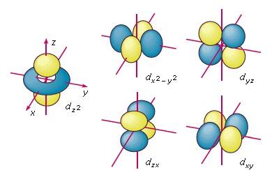 d 1, d 4, d 6, and d 9 complexes consist of one broad absorption. d 2, d 3, d 7, and d 8 complexes consist of three broad absorption.