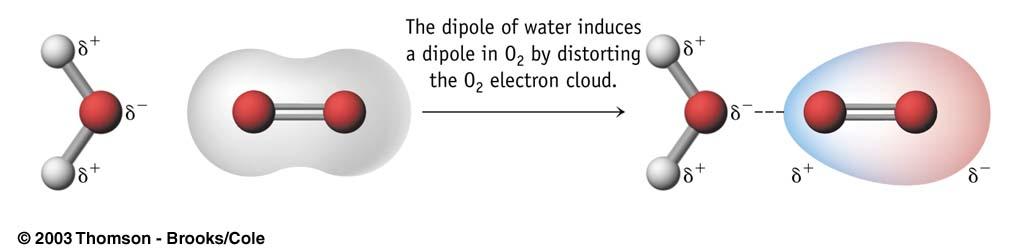 Dipole-induced dipole are attractive intermolecular forces that occur when a polar molecule (dipole) induces a