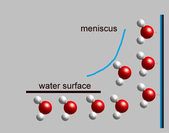 Cohesion is the intermolecular attraction between like molecules.