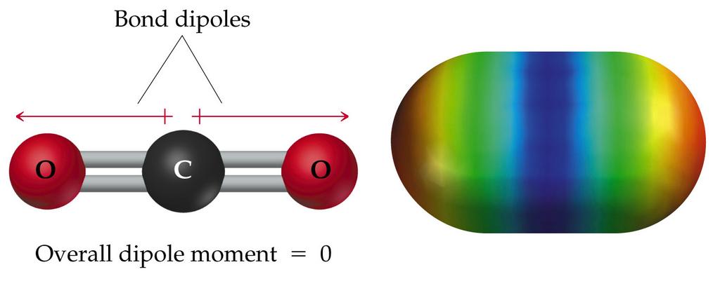 Polar-covalent bonds combined with a molecule s geometry produce net dipole moments