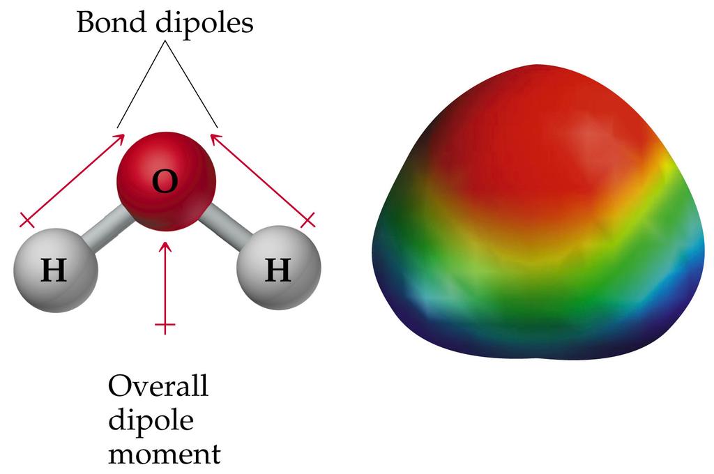 Polar Bond Polar Bond Polar Bond Polar Bond No Net Dipole Moment Net Dipole Moment Think
