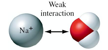 Ion-dipole Interactions Occur in mixtures of ionic and polar