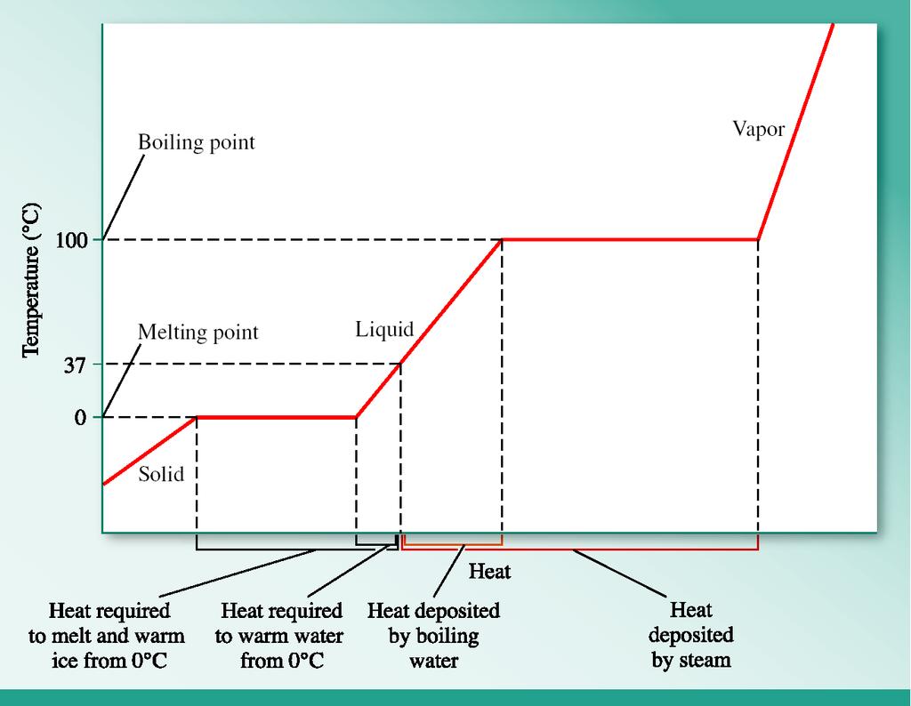 Heating Curve for Water
