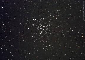 NGC 1960 (M 36) in Auriga 60 stars, ext 4 pc, dist 1,100 pc, age 25 Myr NGC 2099 (M 37) in Auriga 150