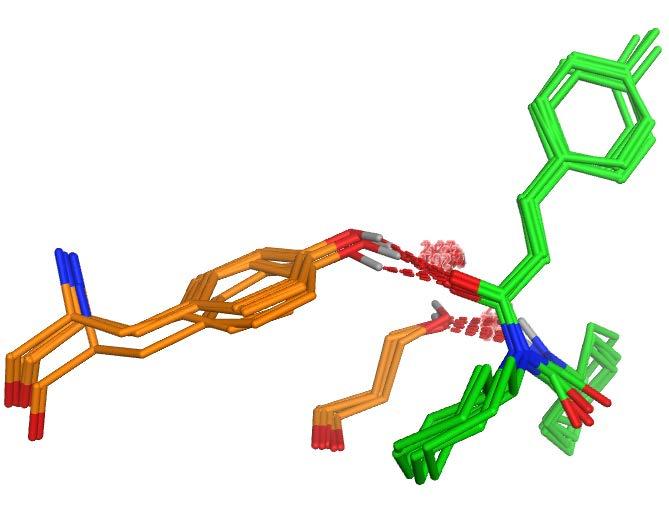 Case Study-success: FXR_3 Ligand interactions optimized through MD Ligand moves to