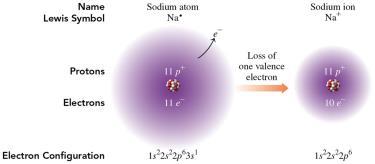 lose its 3s 1 electron to form a sodium ion (Na + ).