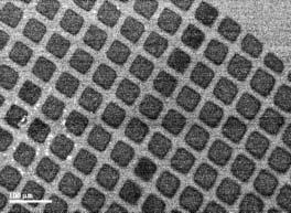 18-16 Handbook of Nanoscience, Engineering, and Technology FIGURE 18.12 SWCNTs grown by thermal CVD on a 400-mesh TEM grid to pattern a silicon substrate. FIGURE 18.13 An ordered array of MWCNTs grown using an alumina template.