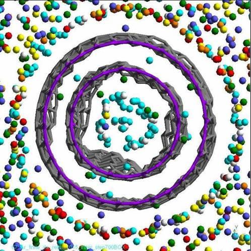 around the nanotube axis. This ring is more circular than the relaxed (10,10) SWNT case, due to two related reasons.