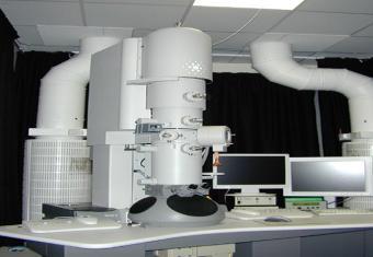 Microscopes Microscopes allow us to see small organisms (Micro=small; scope=to see) 1. Compound Light Microscope a.