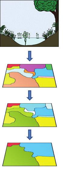 Origins and concepts of vegetation mapping Figure 2.