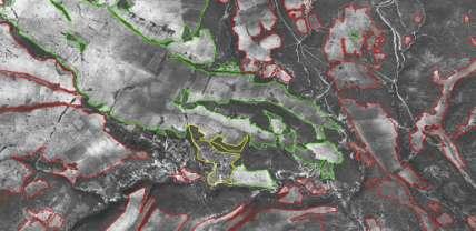 Photointerpretation and establishment of forest maps Subcontractor in the Development of Forest Maps in the Regional Unit