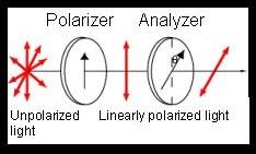 I p ad I p respetively 4. Polarizatio The eletromageti waves are polarized if their filed vetors are all i a sigle plae.