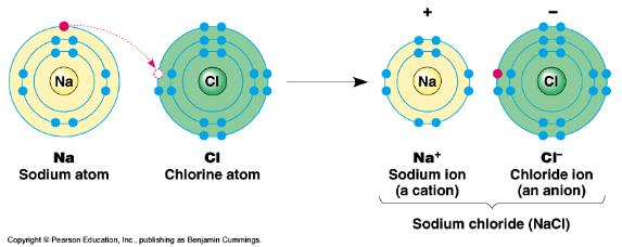Let s go back to Na and Cl Na has become a posi7vely charged ion by losing an electron and is