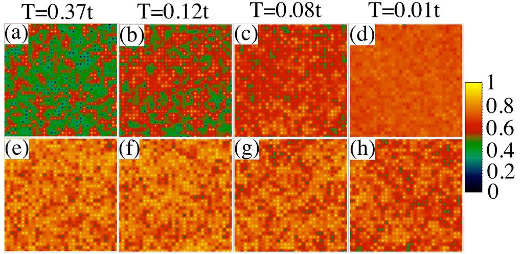 11 FIG. 10. (color online) Spatial snapshots of { m i } for U/t = 4 (top) and U/t = 14 (bottom). (a)-(d) and (e)-(h) show the snapshots for T/t=0.37, 0.12, 0.08, and 0.