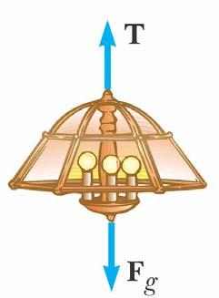 Equilibrium, Example 1a A lamp is suspended from a chain of negligible mass The forces acting on the lamp are the force of gravity (F g ) the tension in the chain