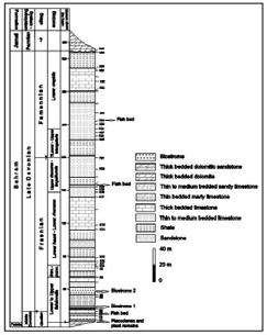 80 Symposium 7: Stratigraphy in Switzerland - from field to application Figure 3. Stratigraphical column REFERENCES Brice, D., Mistiaen, B., and Rohart, J. C.
