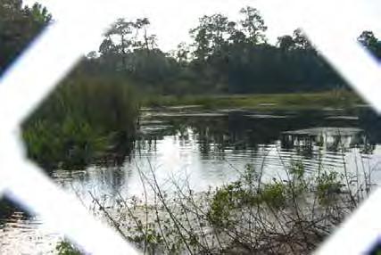 Freshwater ponds can be found very close to saltwater bodies such