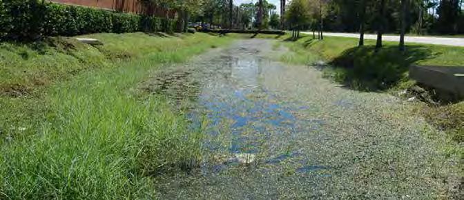 Some businesses designated natural ponds/wetlands within their