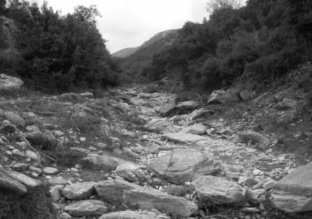 Fig. 8: Bed river of Bagiorema stream with the prevailing coarse-grained materials.