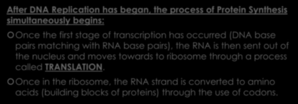 2. Students will explain the basic process of transcription and/or translation and their roles in the expression of genes.