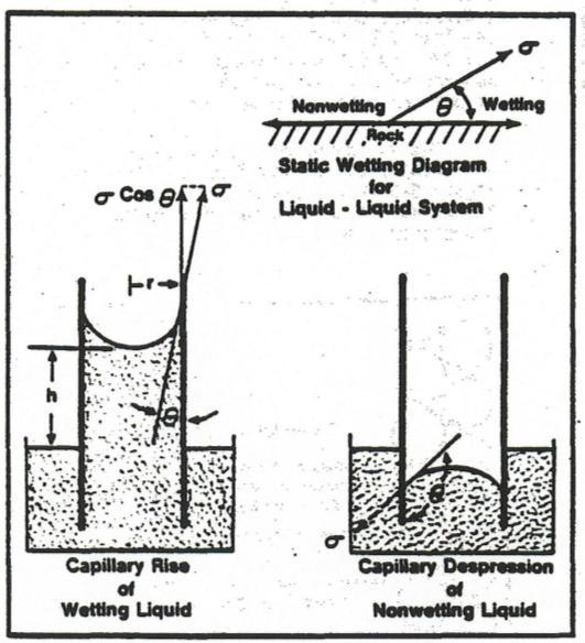 hrg...(8-1) 2cos where is interfacial tension (dyne/cm), h is the height of the liquid inside the tube (cm), is the density of the fluid (g/cm), g is acceleration due to gravity (cm/s 2 ), and is the