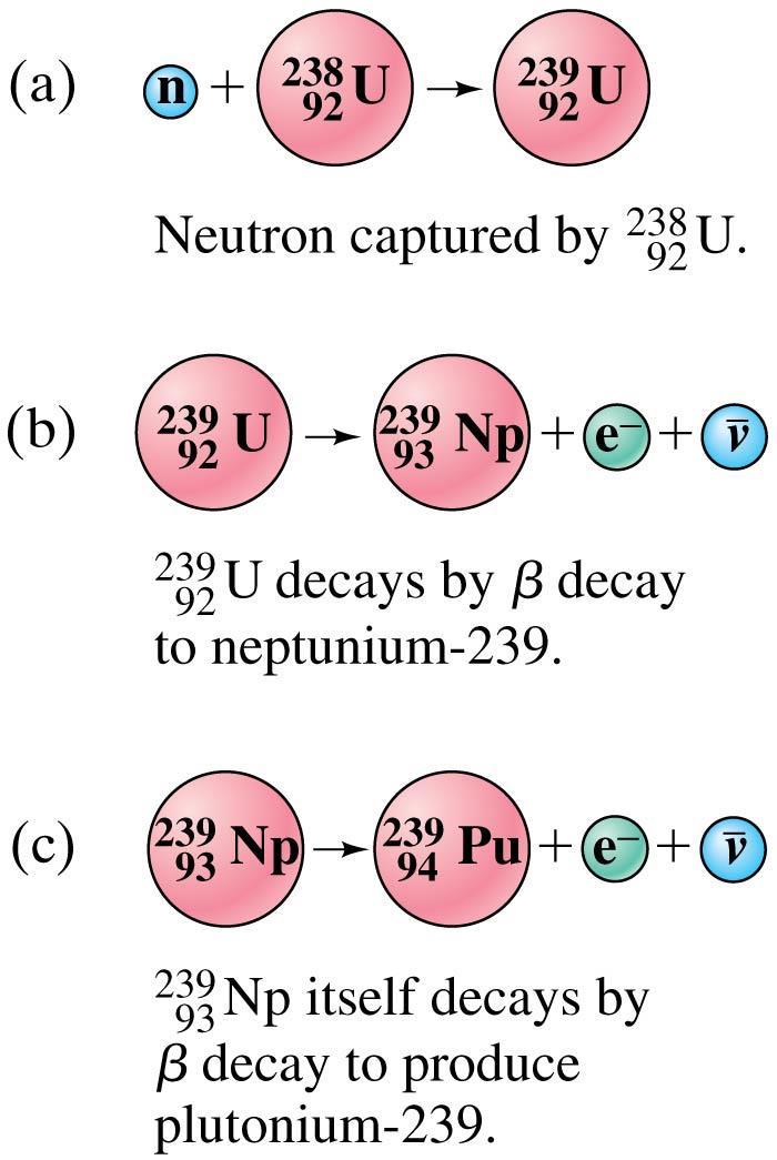 Nuclear Reactions and the Transmutation of Elements Neutrons are very effective in
