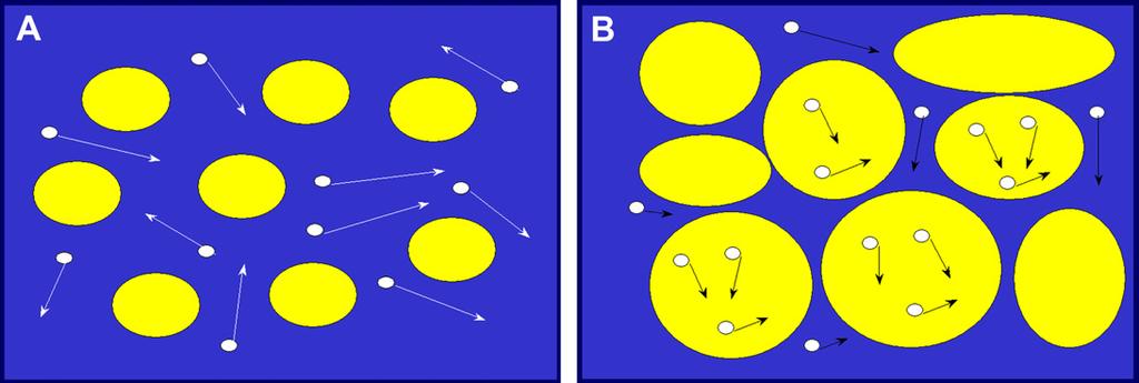10 de Figueiredo et al Fig. 16. (A) Water molecules travel by random walk more freely than (B), as the freedom of this movement is reduced by barriers as cell membranes.