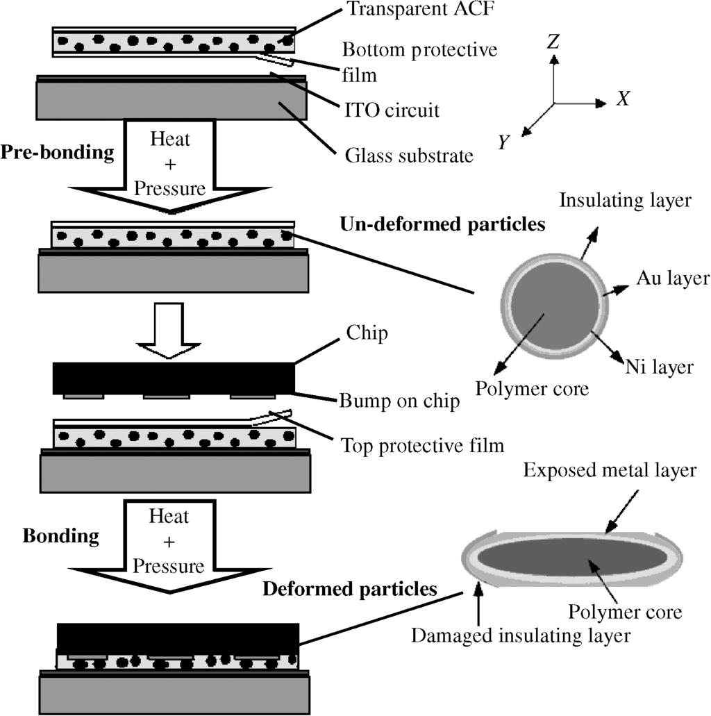 Effects of hygrothermal aging on anisotropic conductive adhesive joints 1385 used in COG assemblies under a humid environment with elevated temperature are greatly needed.