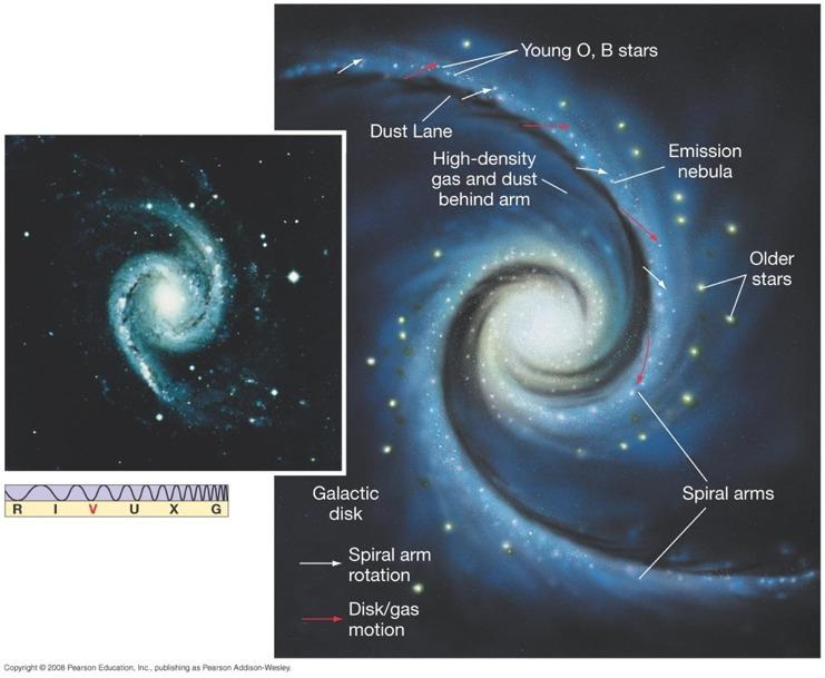 So the spiral arms are regions of greater density: a density wave.