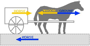 The horse pulls on a wagon with a force of 10,000 Newtons, with what force