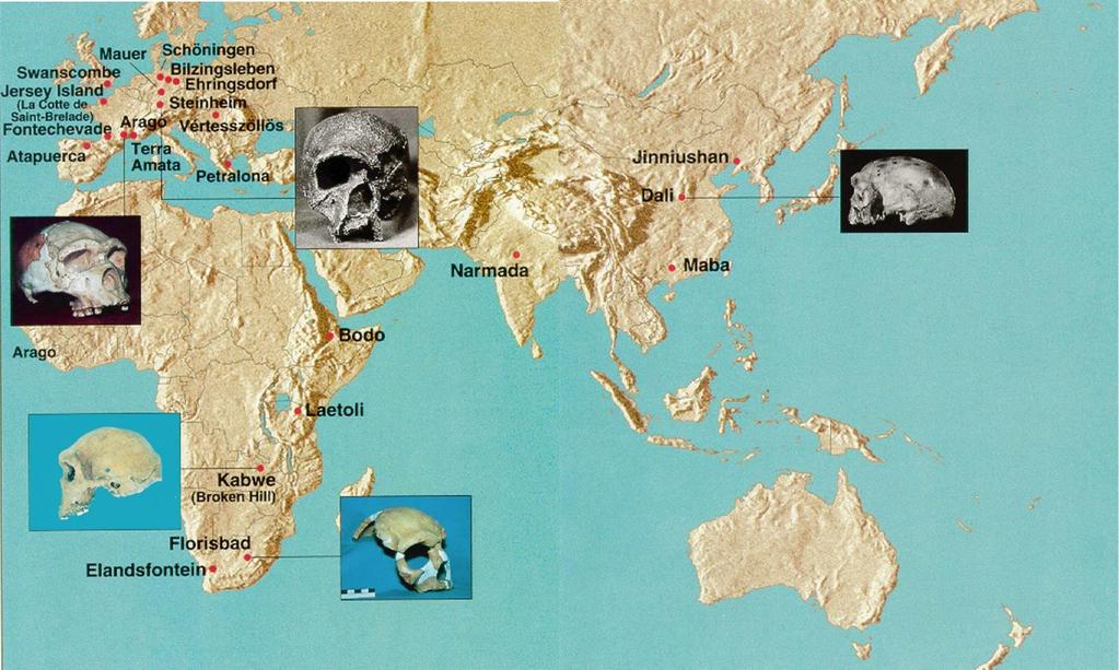 The geographical range of Middle Pleistocene
