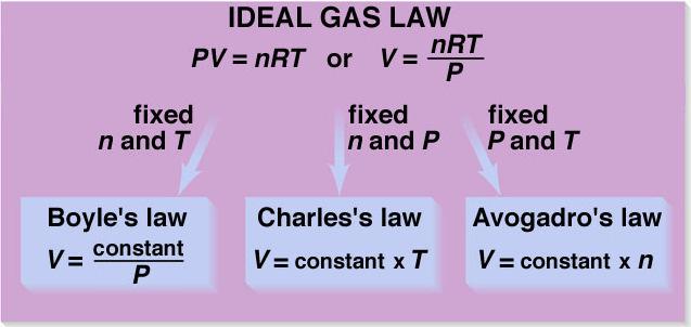 equal volumes of gas at the same pressure and temperature contain equal numbers of molecules V=k 3 n Slide 20-8 Ideal Gas Equation Ideal Gas Equation pressure nt V = k P P V = n R T absolute