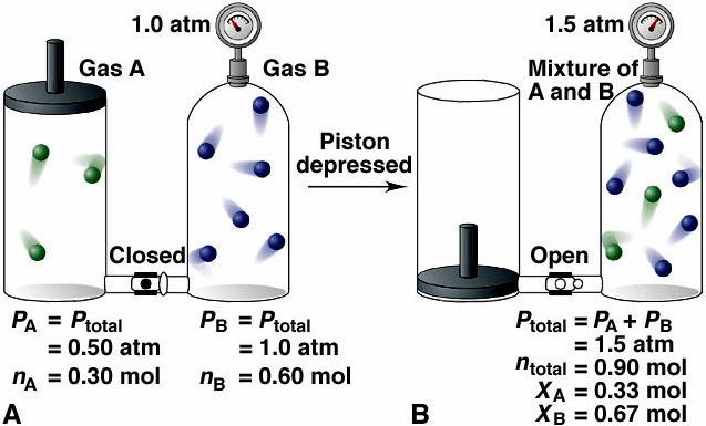 Dalton s Law: The total pressure of a mixture of gases equals the sum of the pressures that each would exert if it were present alone." Ptot = Pa + Pb +.