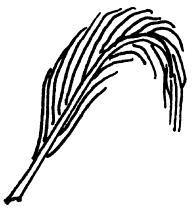 i in his quill vim