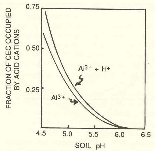 Exchangeable Aluminum (and other cations) in Soils Unique characteristic of acid soils Acidic cations (Al 3+ and H + ) on soil exchange sites