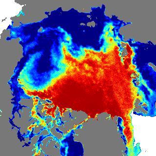 sea ice Polar regions What is the contribution of